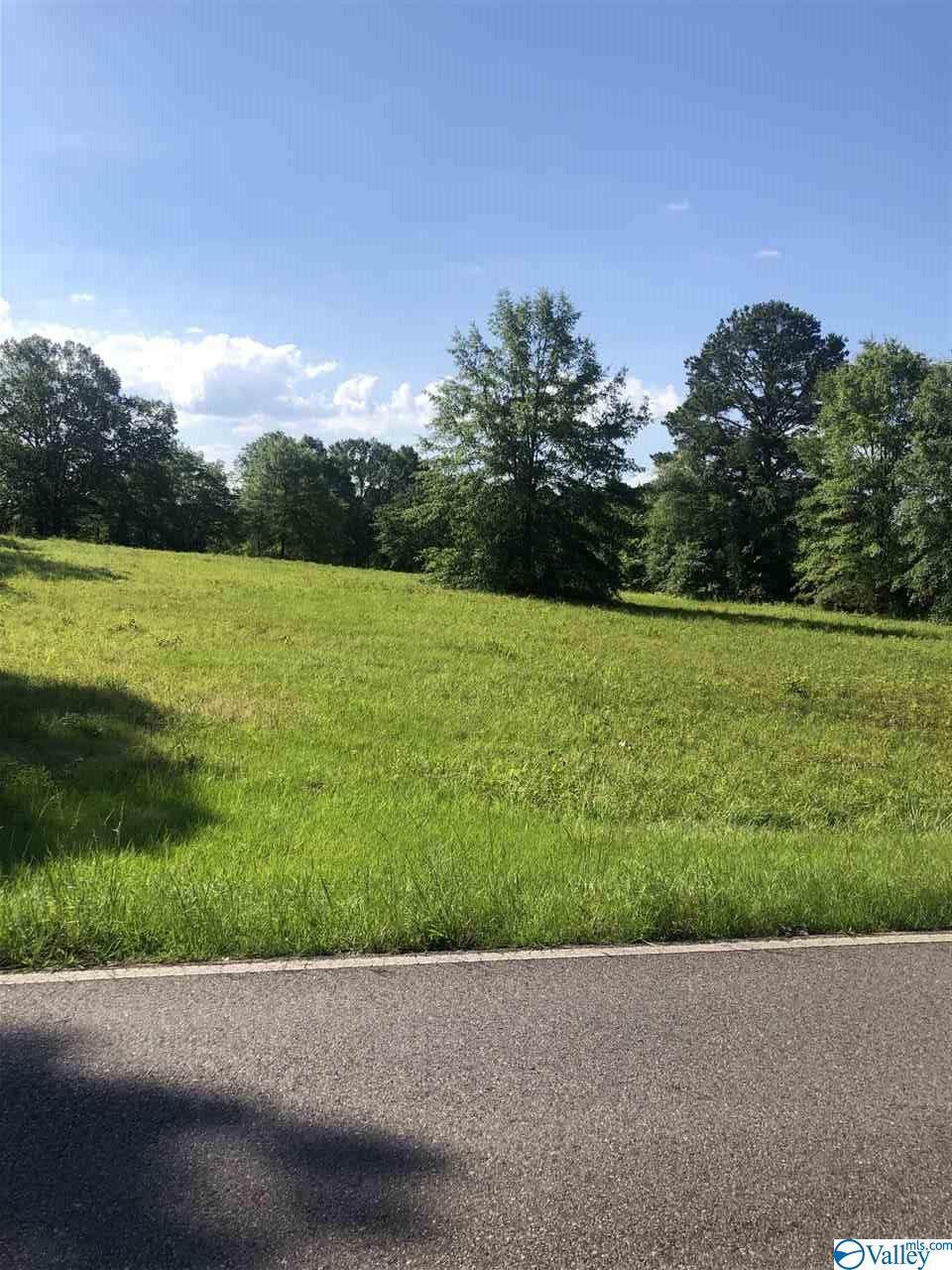 0 Nance Ford Road - Photo 1