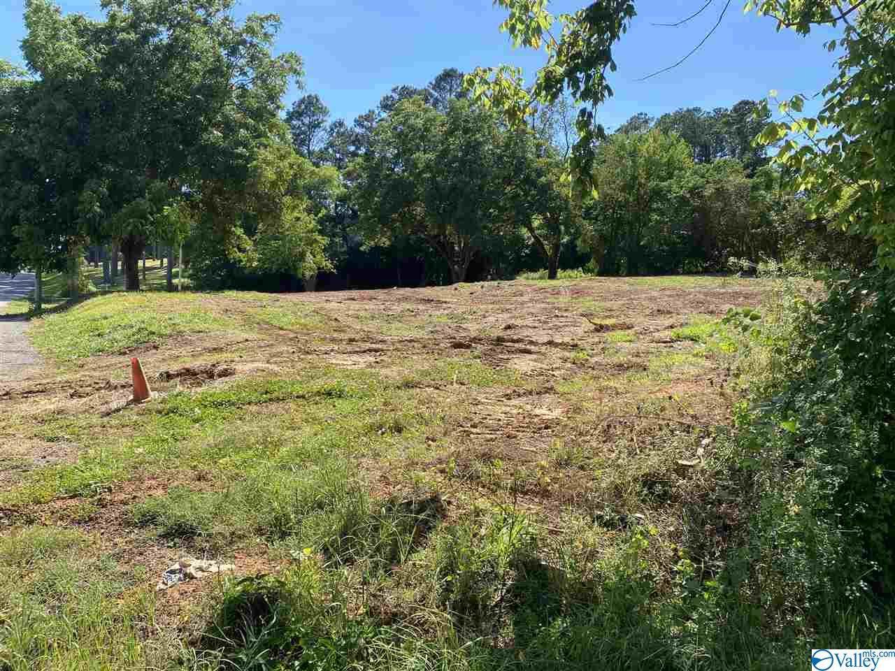 6 lots Obrig Avenue - Photo 1