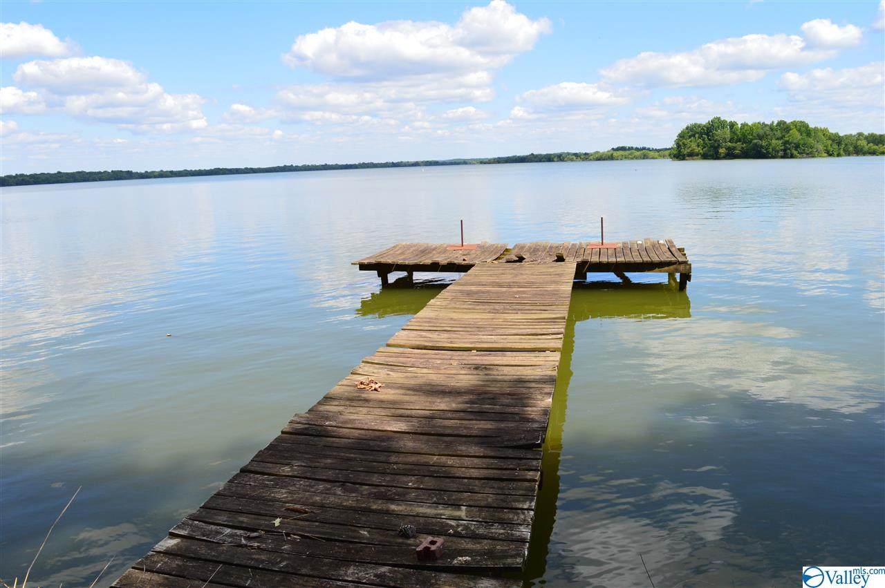 Lot 10 County Road 578 - Photo 1