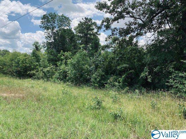4990 Highway 411 - Photo 1