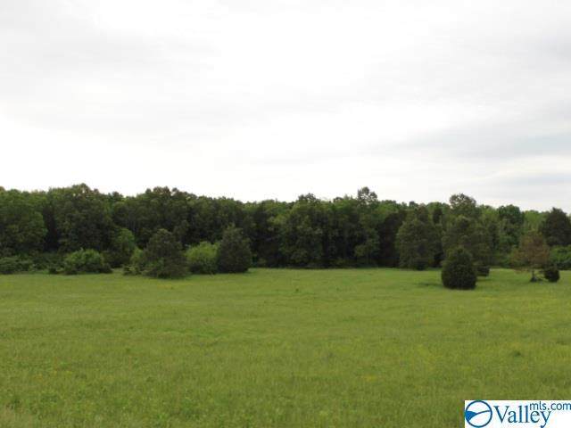 Lot #1 Red Bank Road - Photo 1