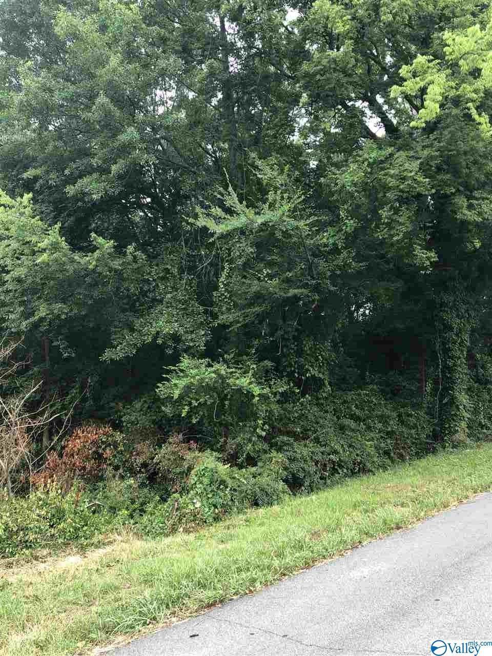 0 Hillwood Drive - Photo 1