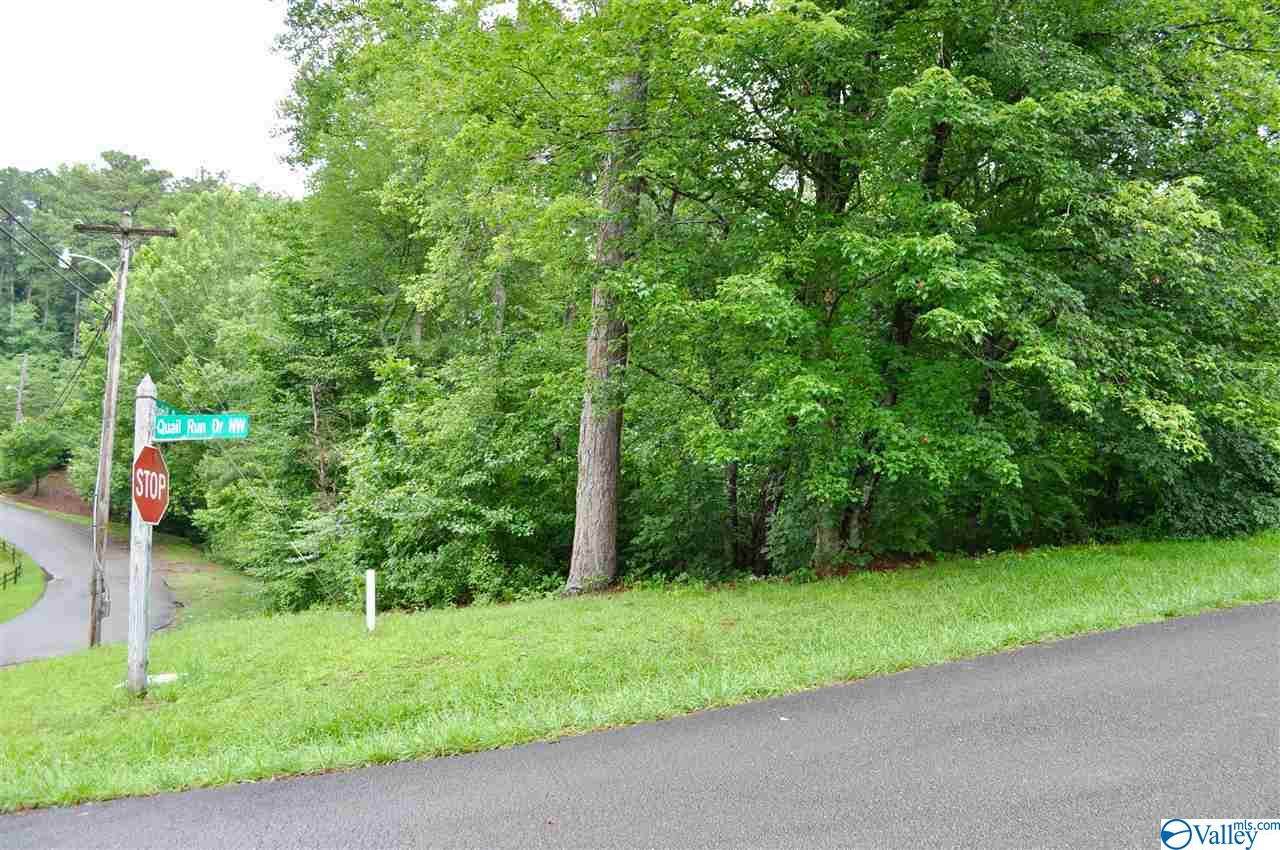 0 Pine Hill Drive - Photo 1