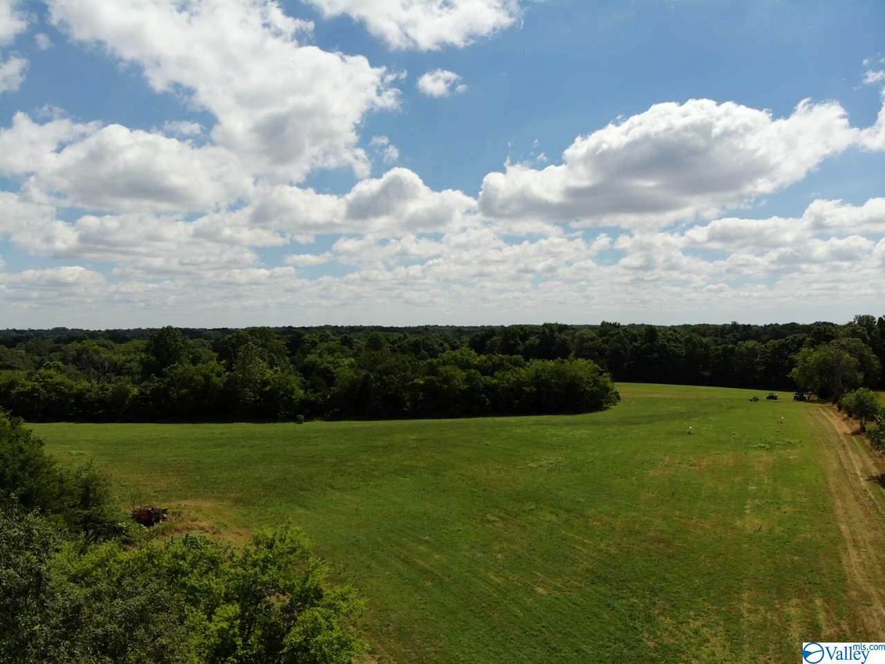 Tract 4 Red Hill Road - Photo 1