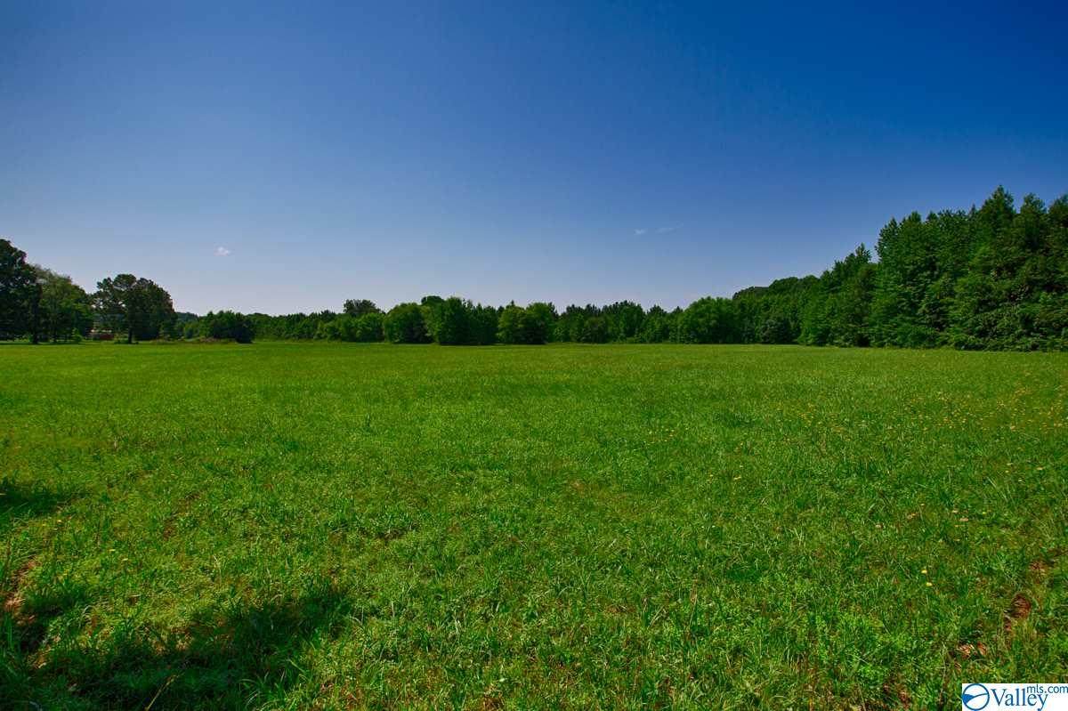 0 Brownsferry Road - Photo 1
