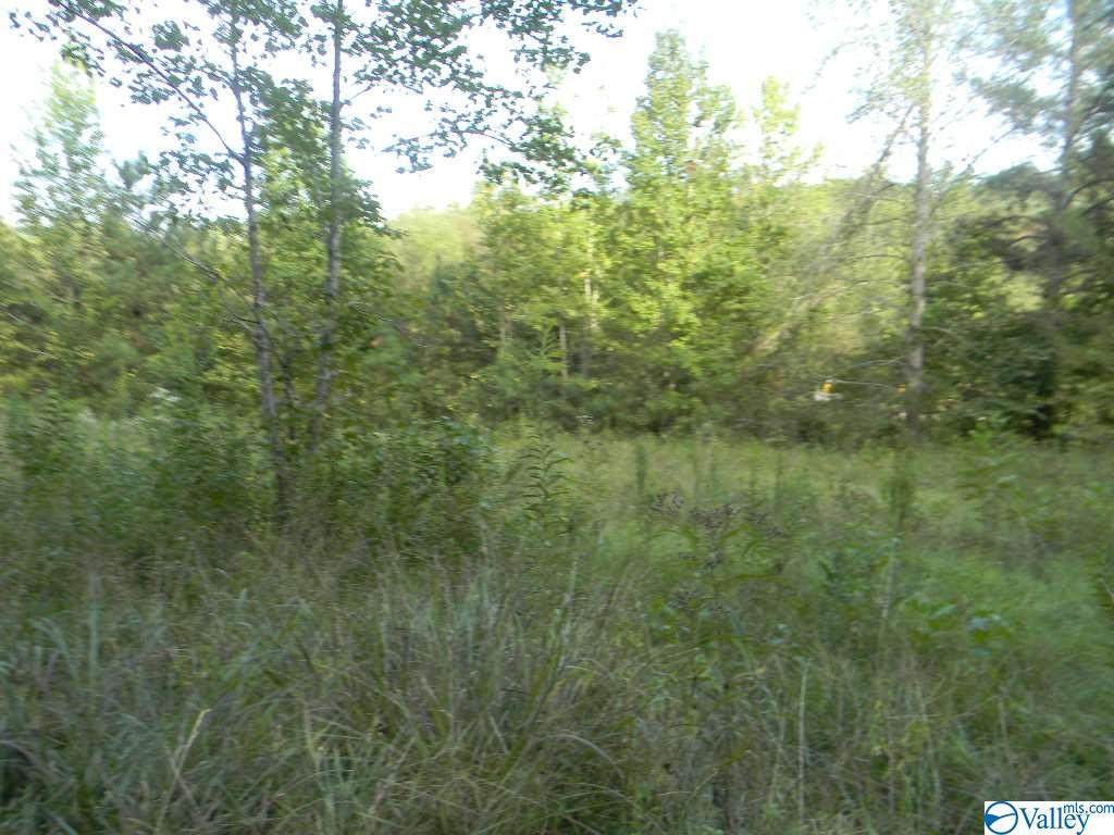 338 Tall Pine Road - Photo 1