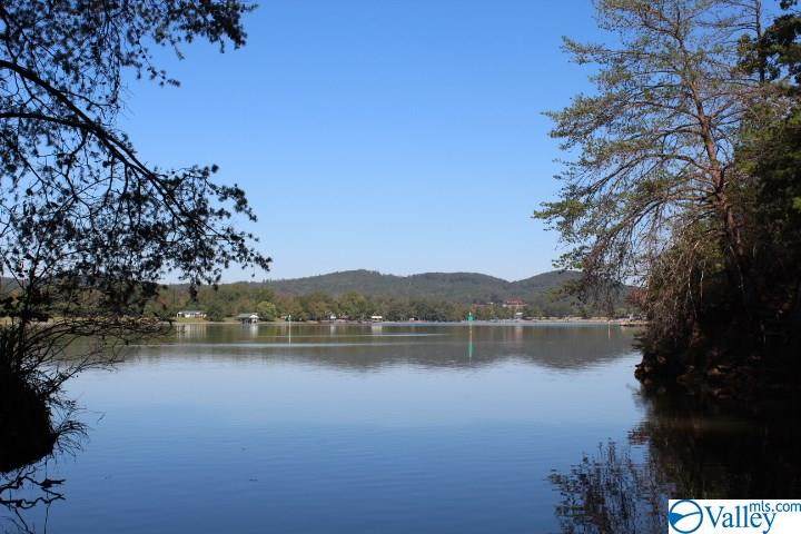 County Road 251 - Photo 1