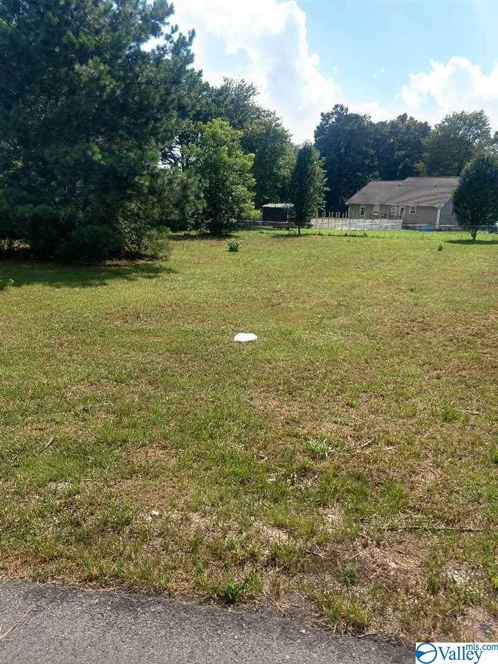 90 Mandi Lane - Photo 1