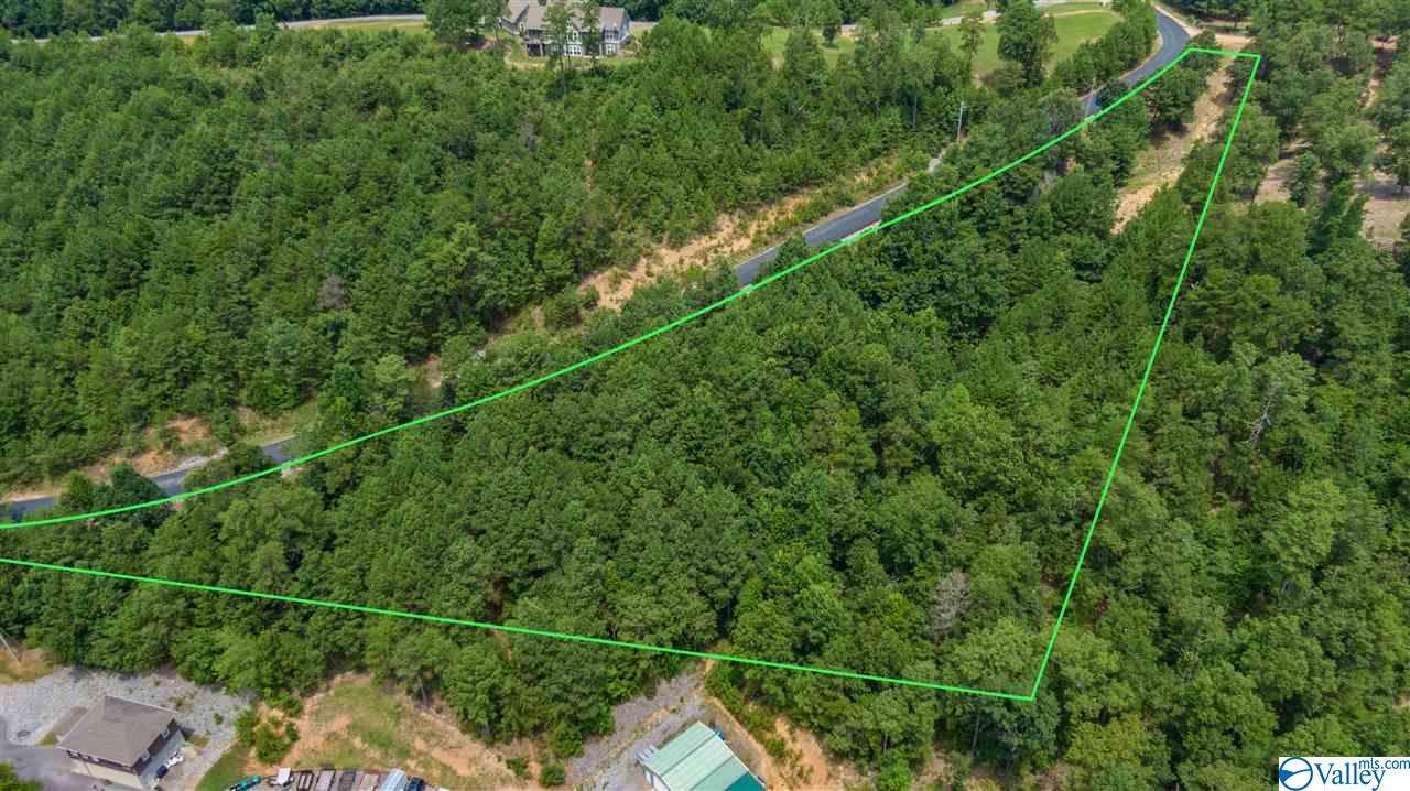 Lot 14 County Road 767 - Photo 1