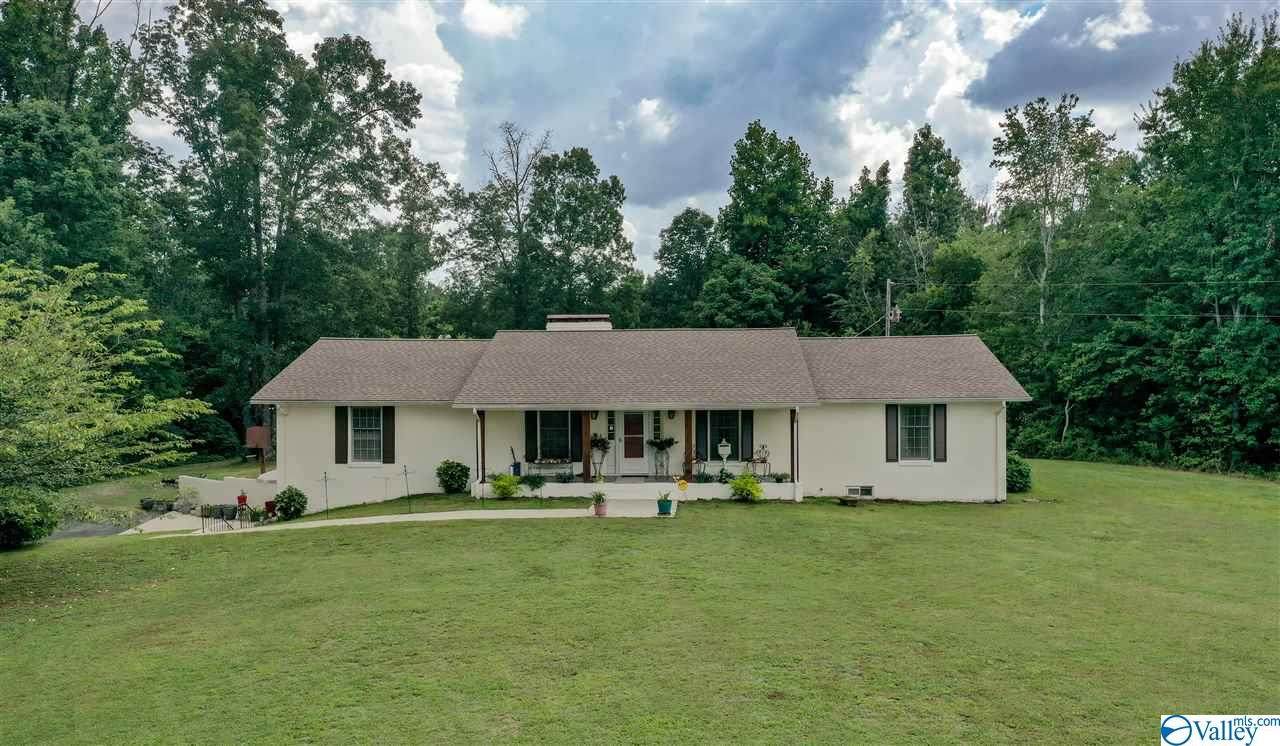 8131 Alabama Highway 157 - Photo 1