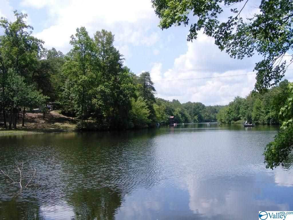 10200 County Road 945 - Photo 1