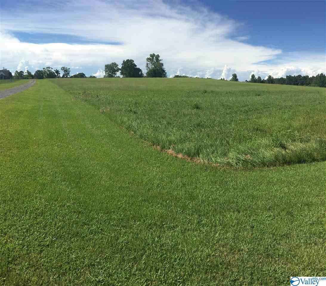 000 Gordon Terry Parkway - Photo 1