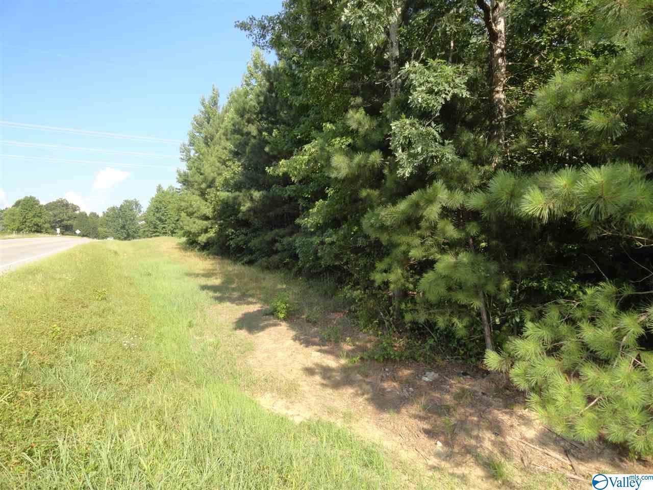 O County Road 418 - Photo 1