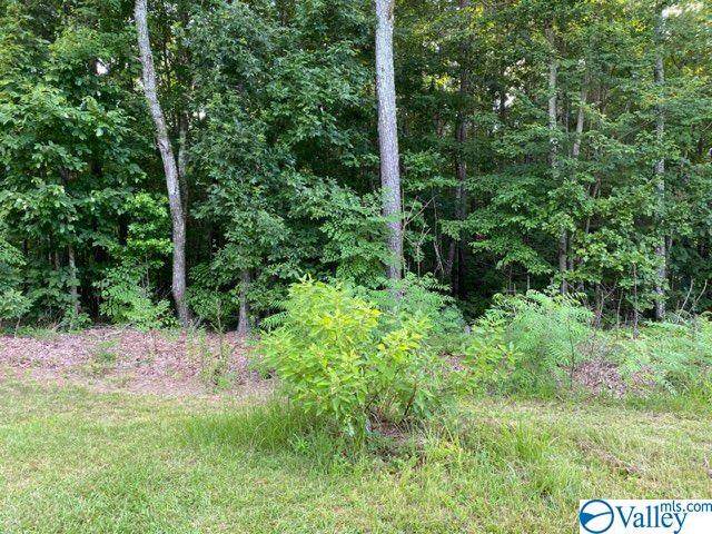 Lot 16 Sweetwater Lane - Photo 1