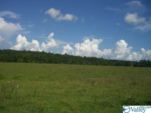 County Road 687 - Photo 1