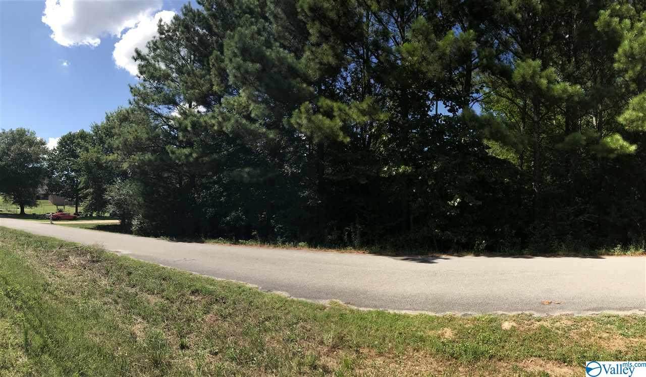 LOT 5 Analicia Drive - Photo 1