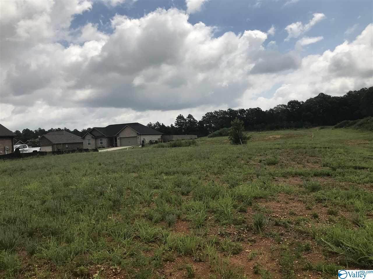 4770 Main Drive - Photo 1