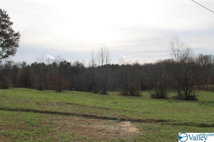 Lot 22 Honeysuckle Road - Photo 1