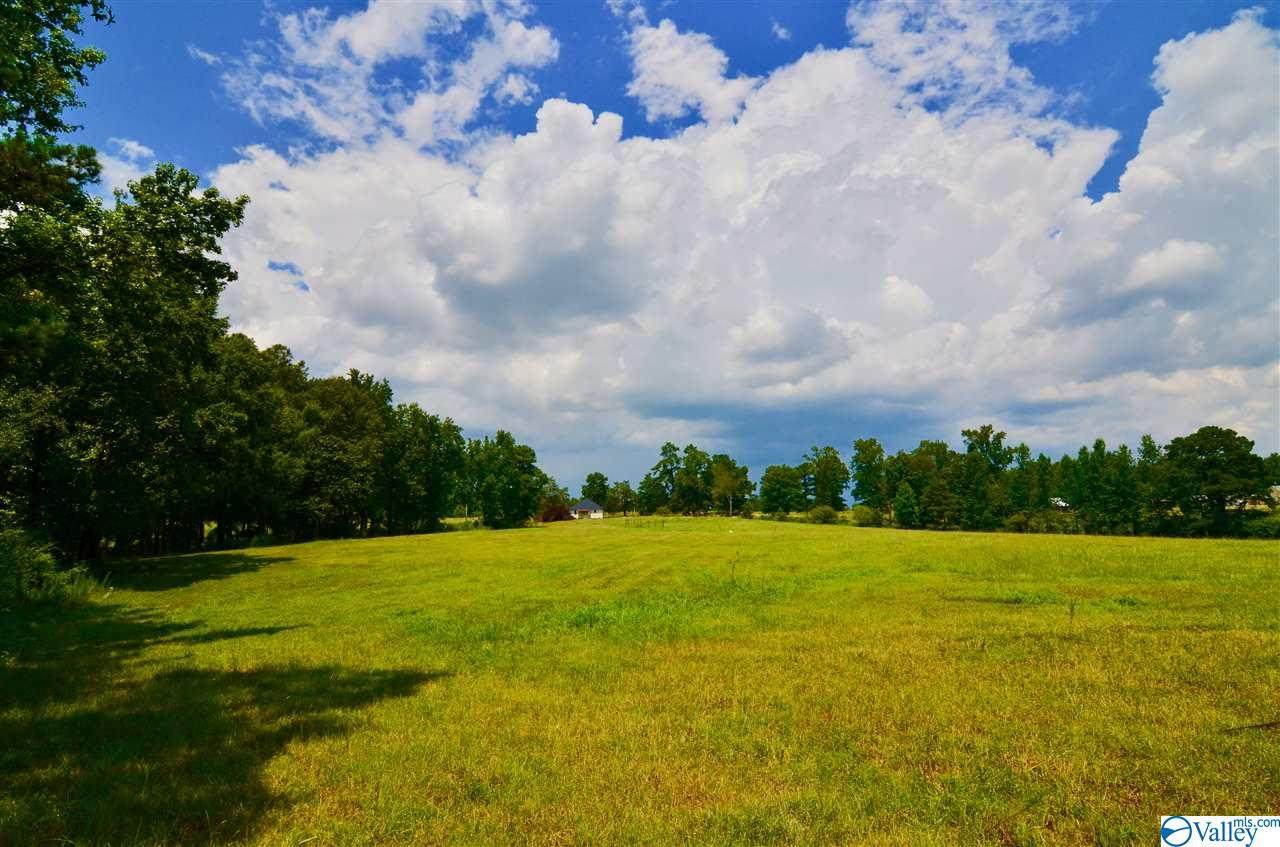 960 John L Gap Road - Photo 1