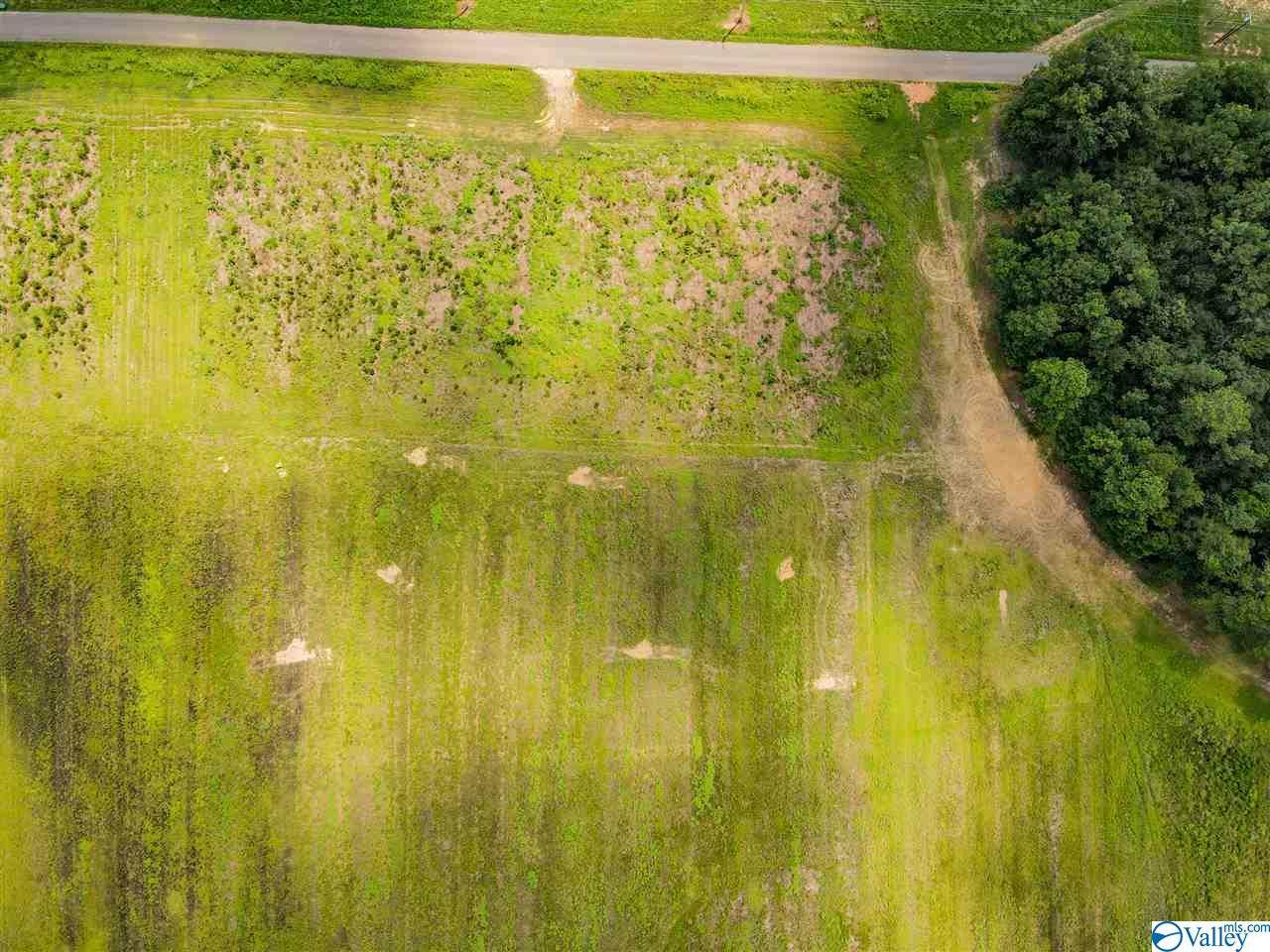 000 County Road 255 - Photo 1