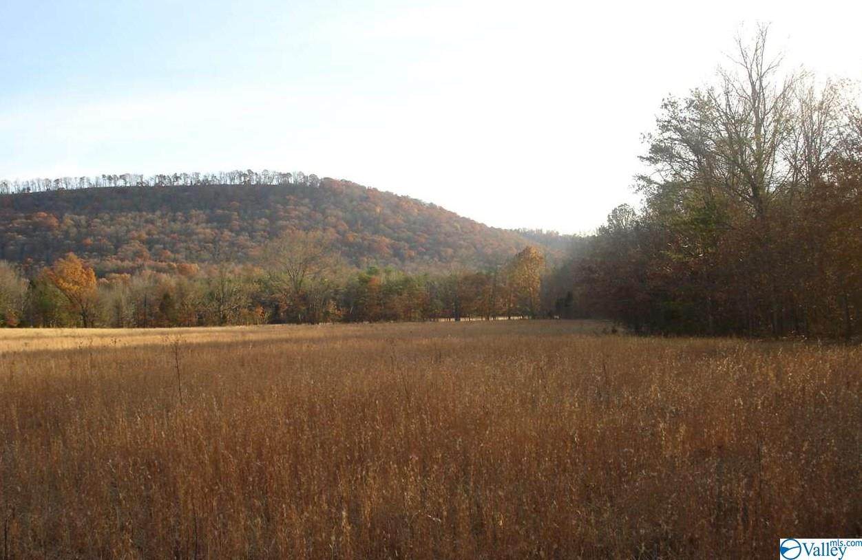 294 Guyer Cove Road - Photo 1