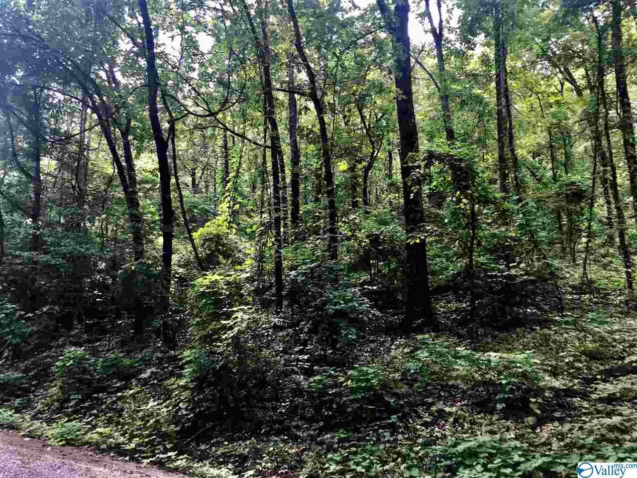 0 Nola Trail - Photo 1