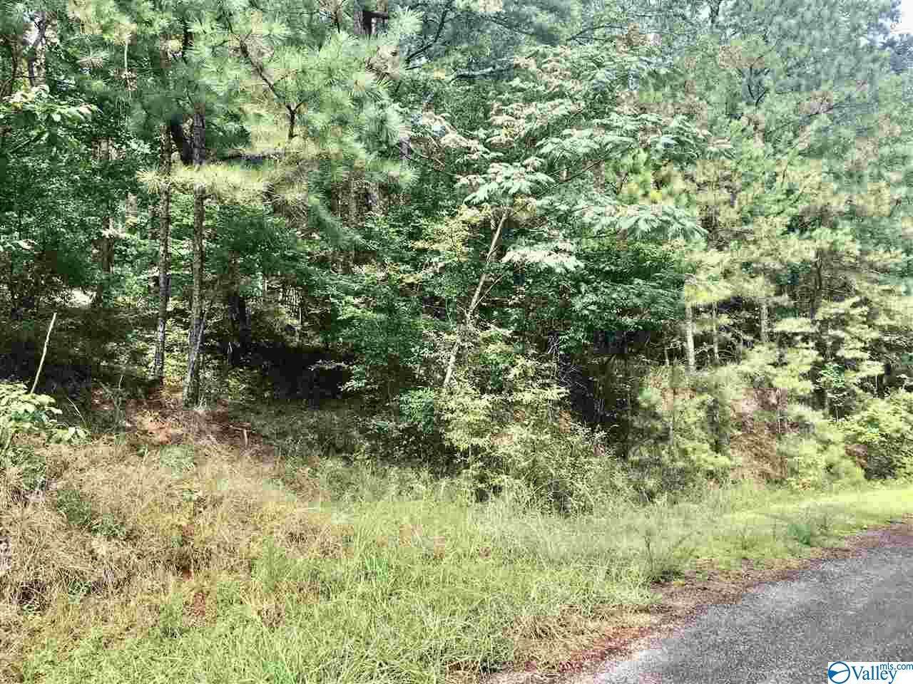 000 Nola Trail - Photo 1