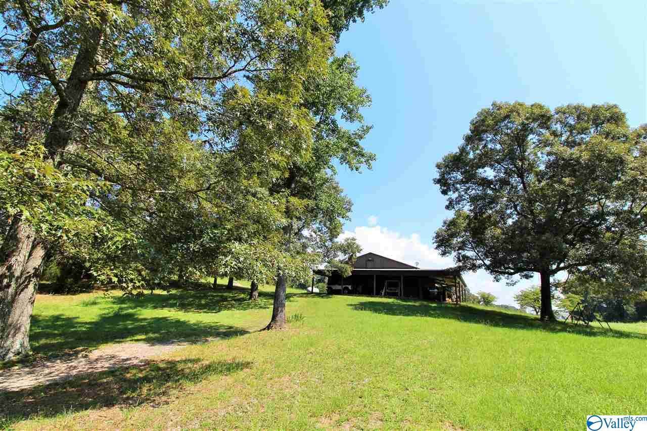 501 Houston Loop Road - Photo 1