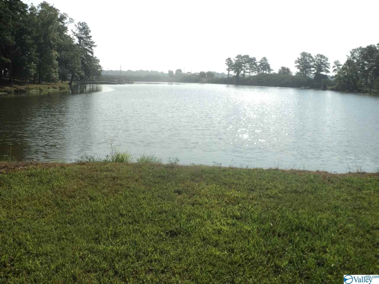 0 County Road 1010 - Photo 1