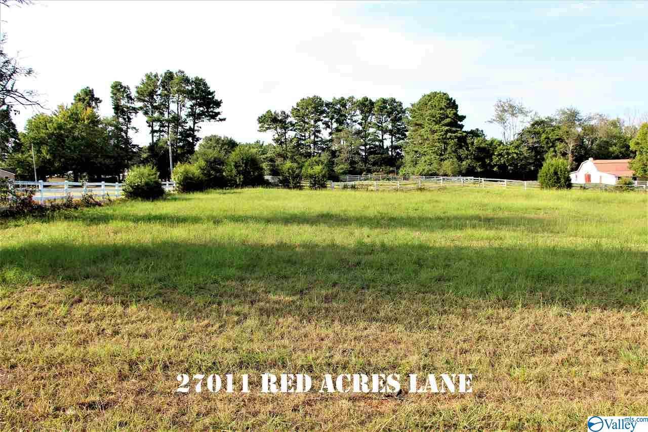 27011 Red Acres Lane - Photo 1