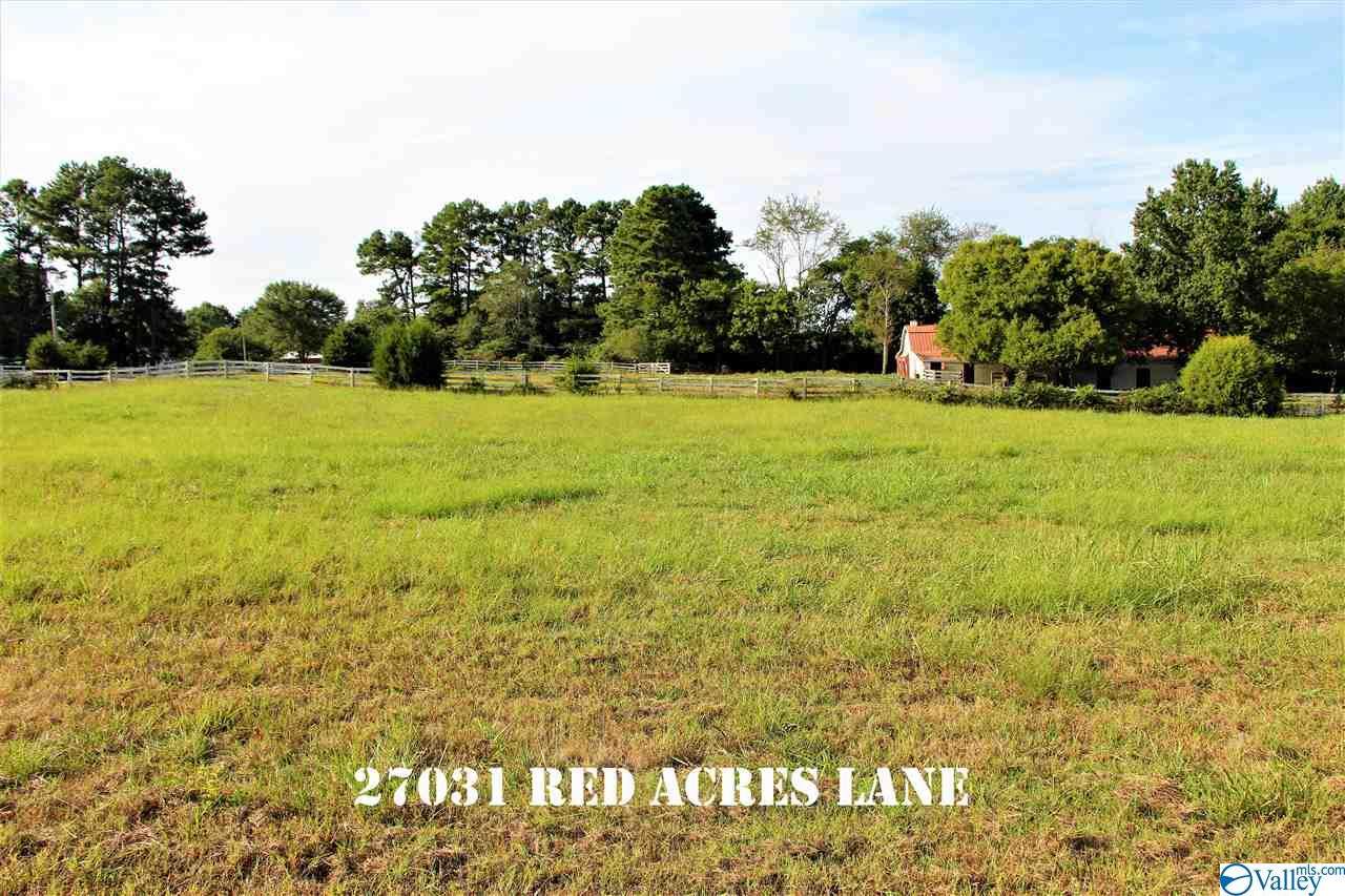 27031 Red Acres Lane - Photo 1