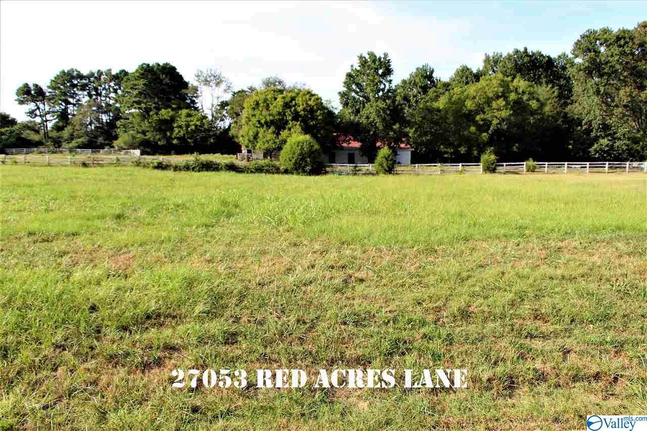 27053 Red Acres Lane - Photo 1