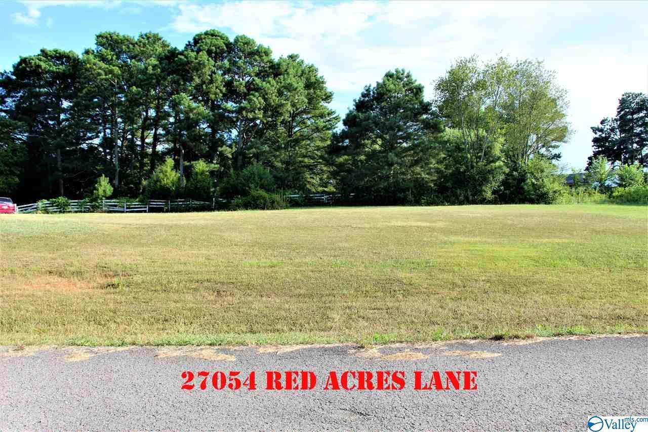 27054 Red Acres Lane - Photo 1