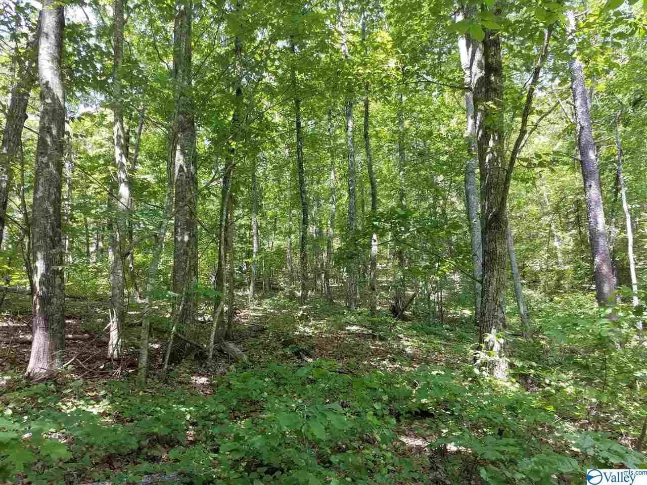 Hillside Drive - Photo 1