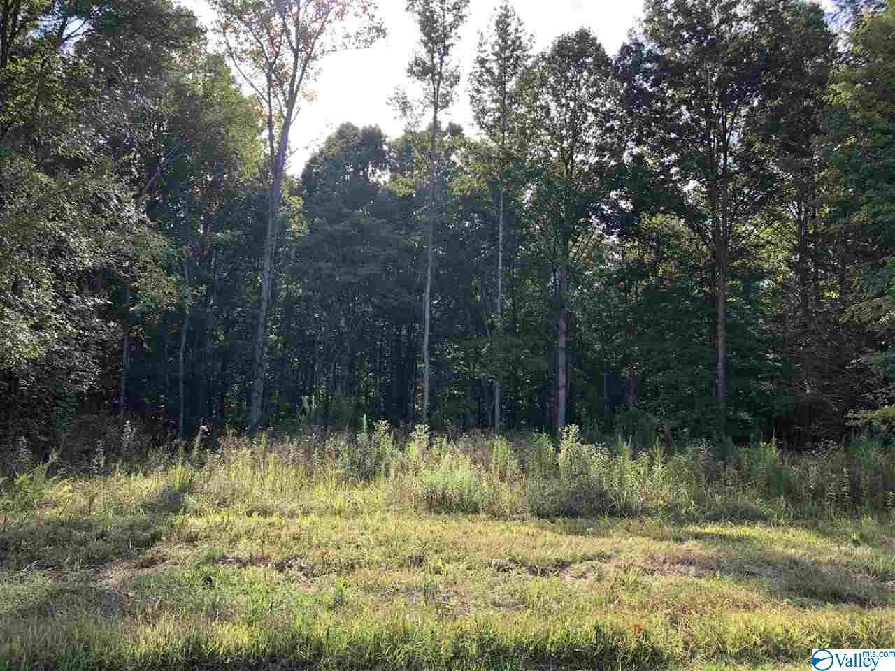29600 Lester Road - Photo 1