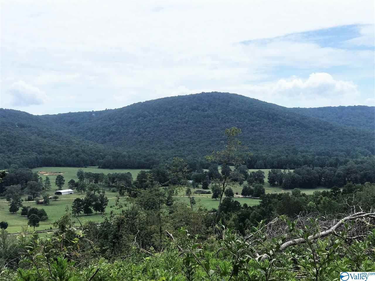 5701 County Road 137 - Photo 1