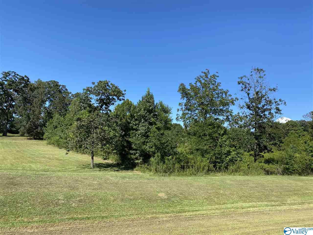 3.5 Acres Alabama Highway 157, Town Creek, AL 35672 (MLS 1150845