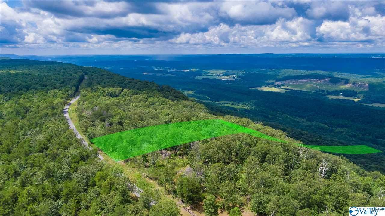 LOT 83 County Road 89 - Photo 1
