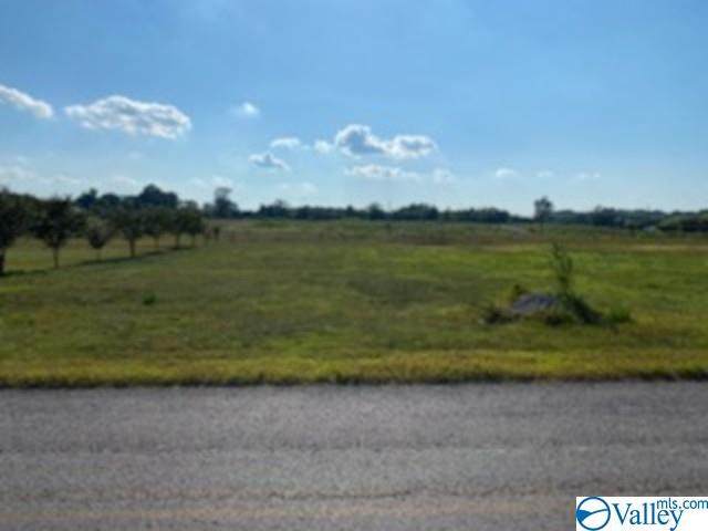 0 Old Vaughn Bridge Road - Photo 1