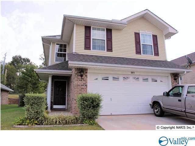203 Shadow Court - Photo 1