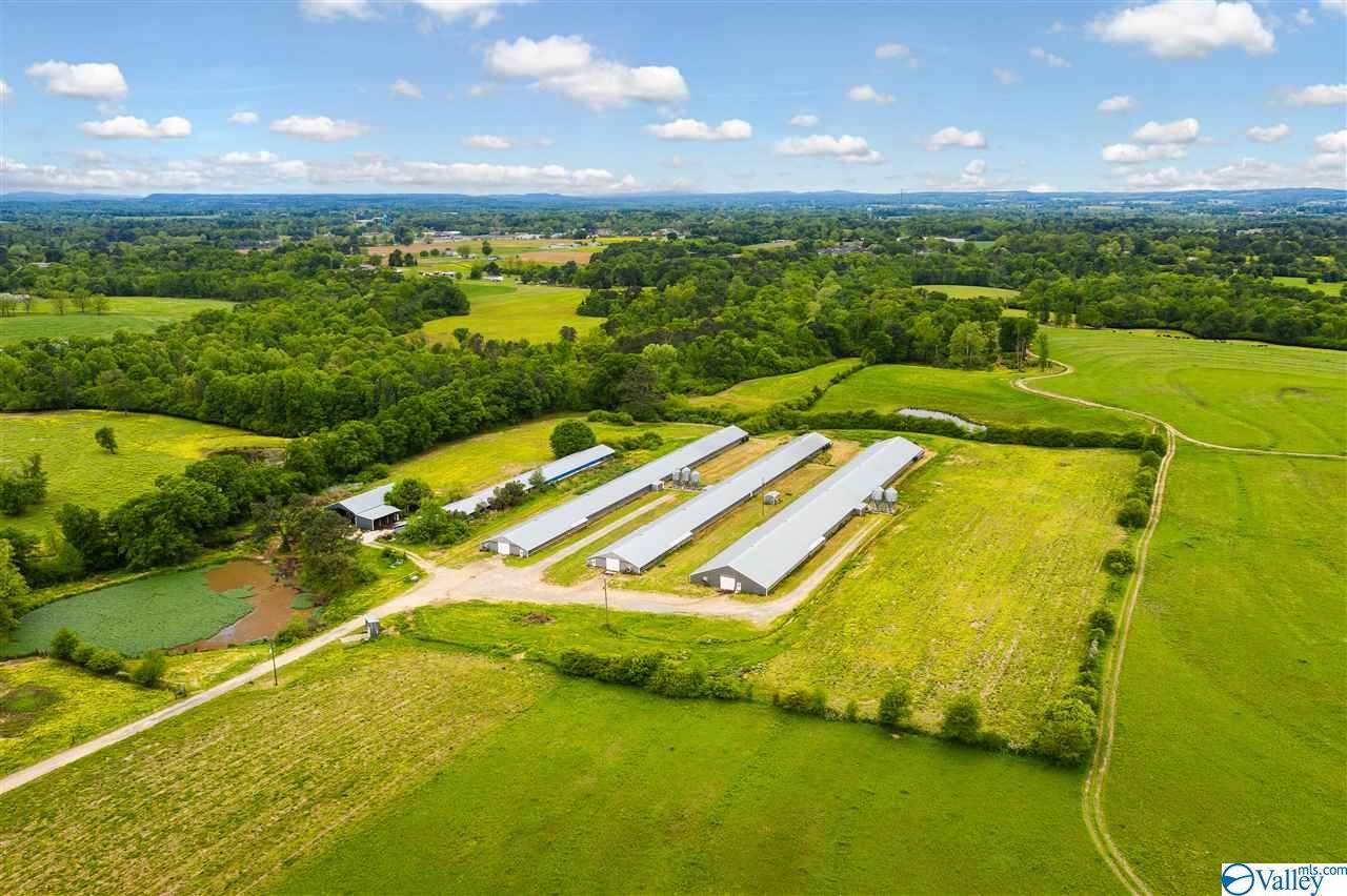 1291 Hwy 21 - Photo 1