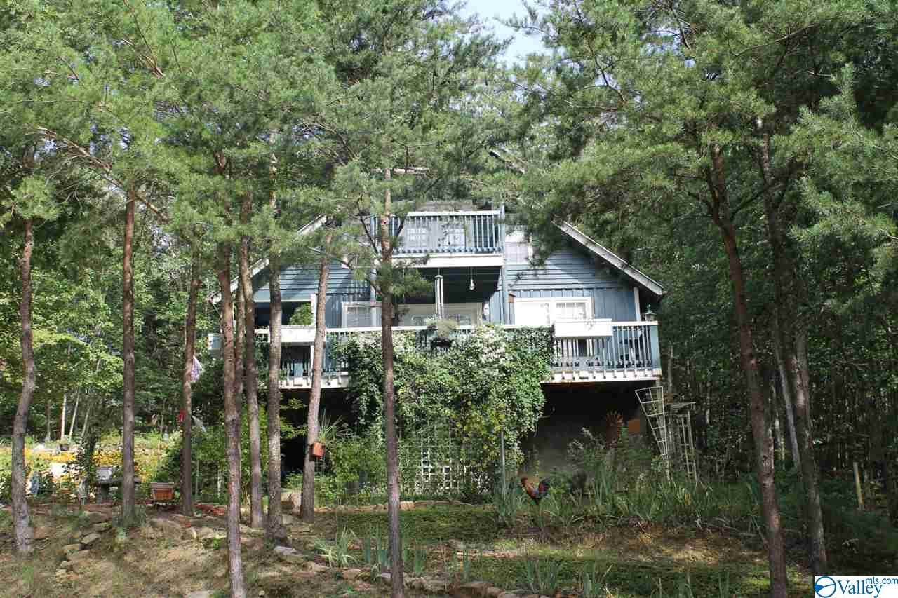2494 County Road 166 (Citadel Rock Road) - Photo 1