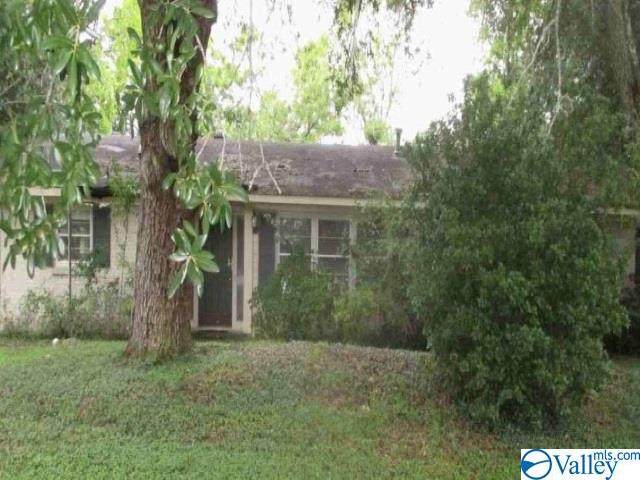 2507 Burkelaun Drive - Photo 1