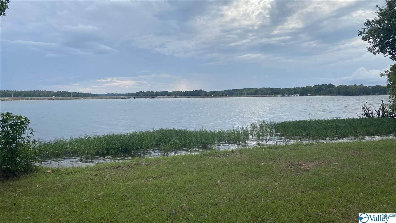 Lot 10 County Road 1011 - Photo 1
