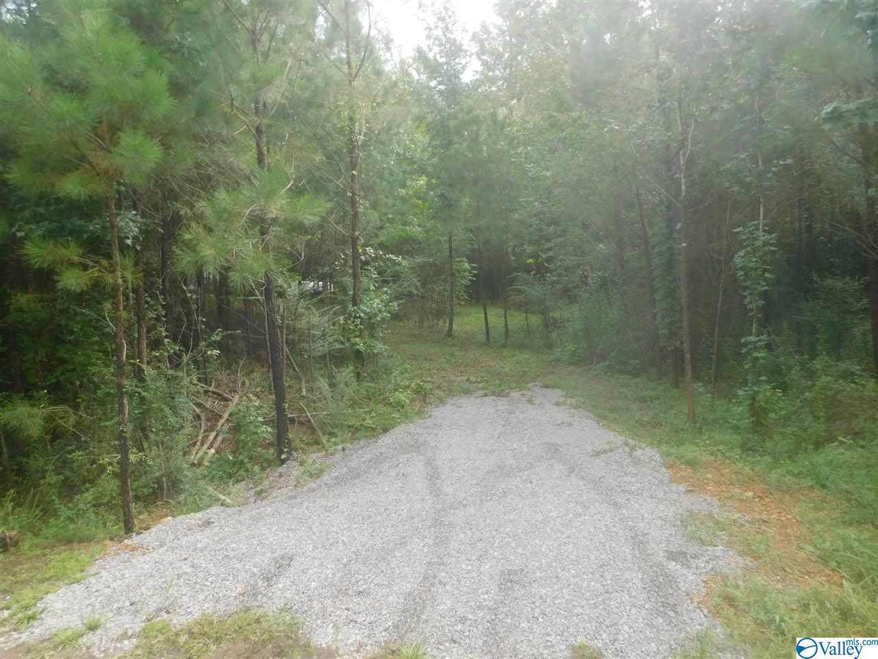 County Road 133 - Photo 1