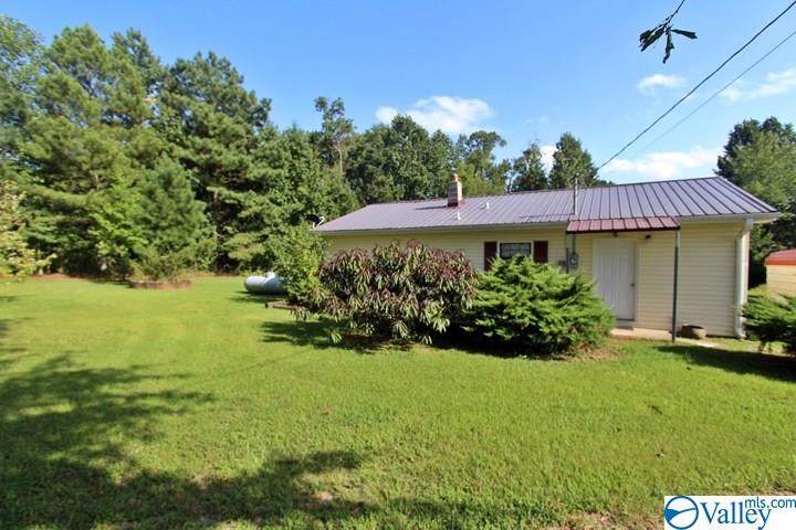80 County Road 379 - Photo 1