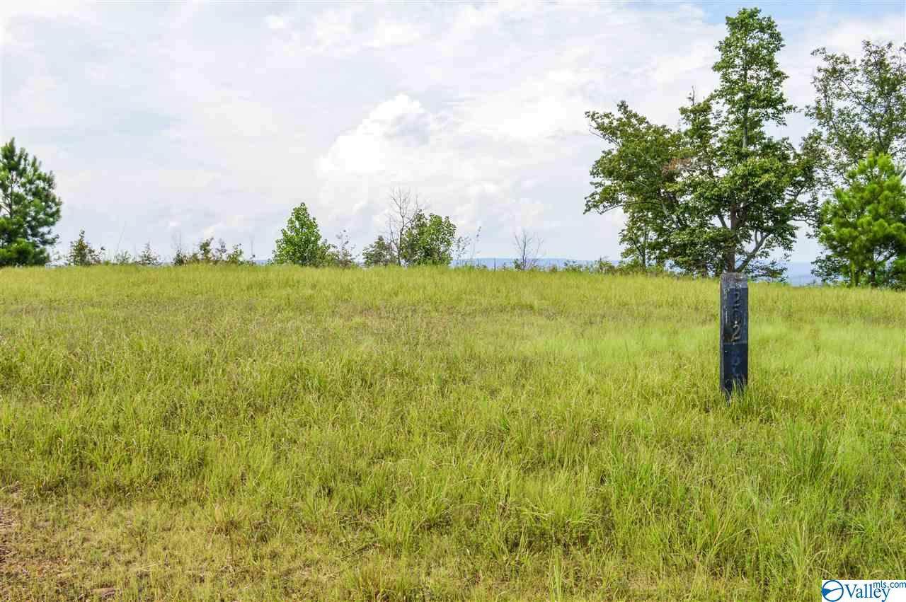 Lot 202 County Road 767 - Photo 1