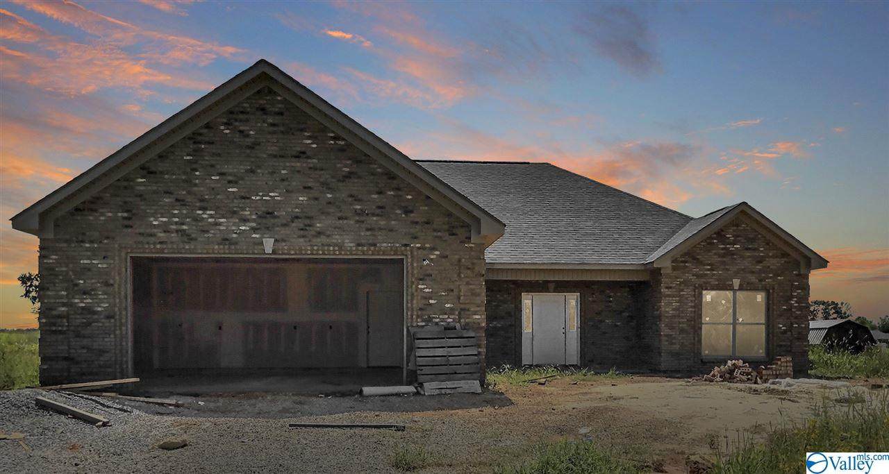 9962 Snake Road - Photo 1