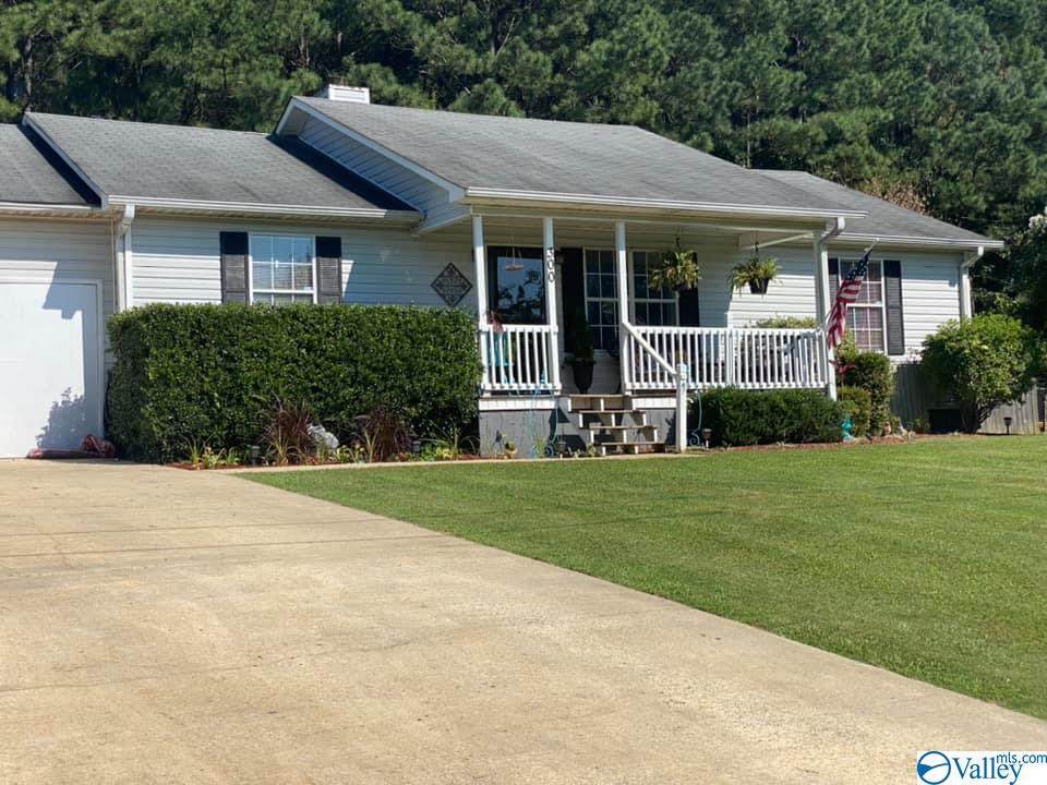 300 Lemon Tree Circle - Photo 1
