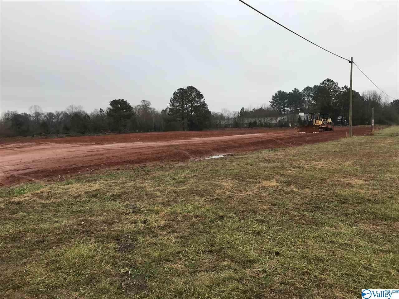 0 Highway 431 South - Photo 1